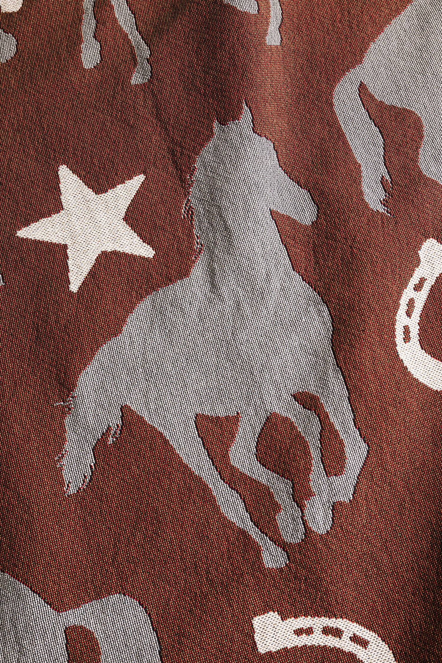 Wild Horse Western Throw Blanket - Brown