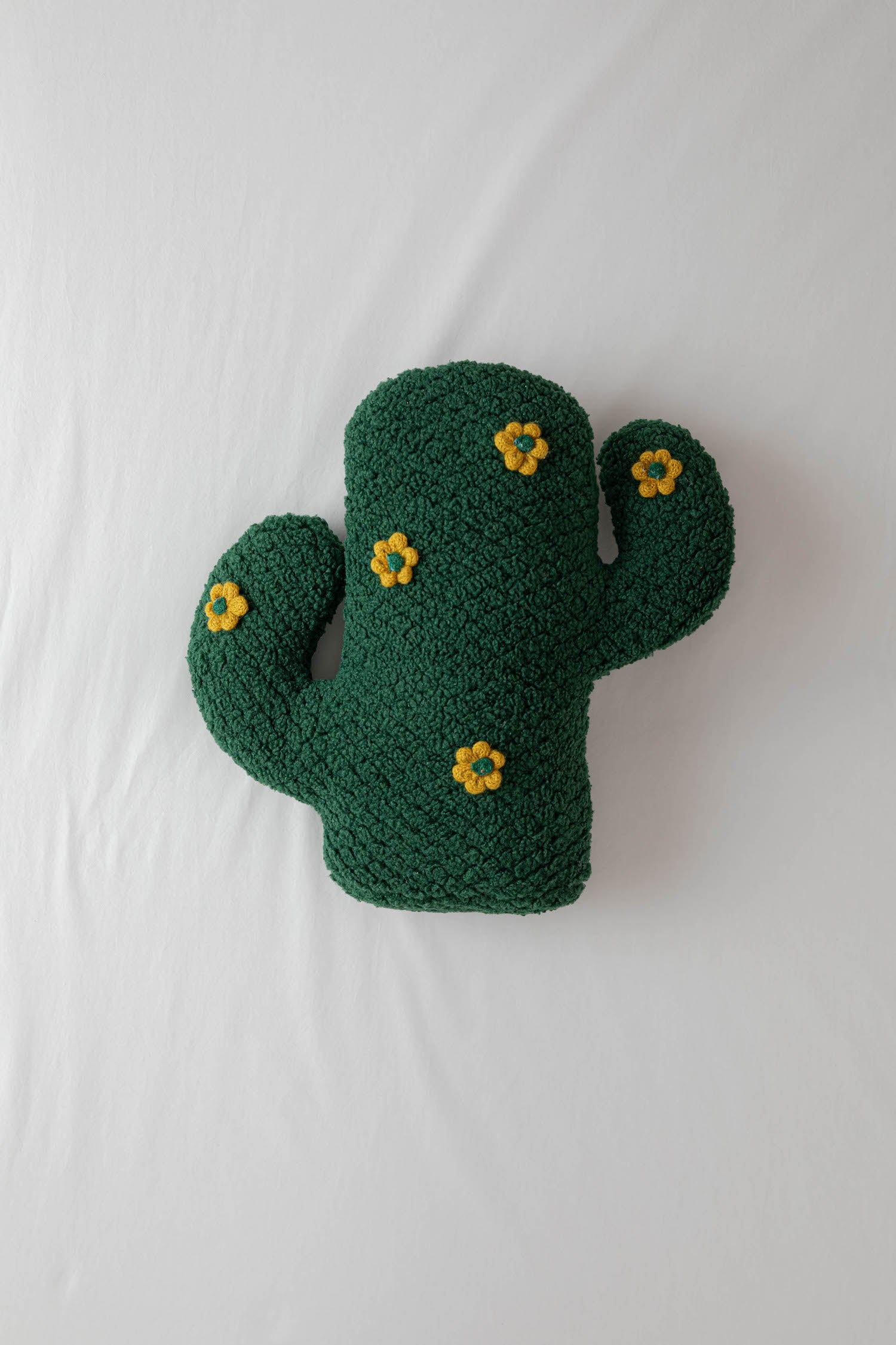 Cactus Throw Pillow Flag Lay